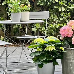 https://loft-g-hospitality.italymilanhotels.net